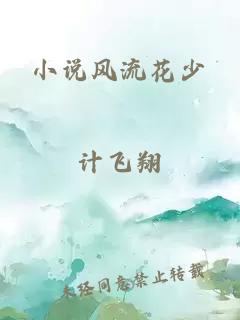 小说风流花少